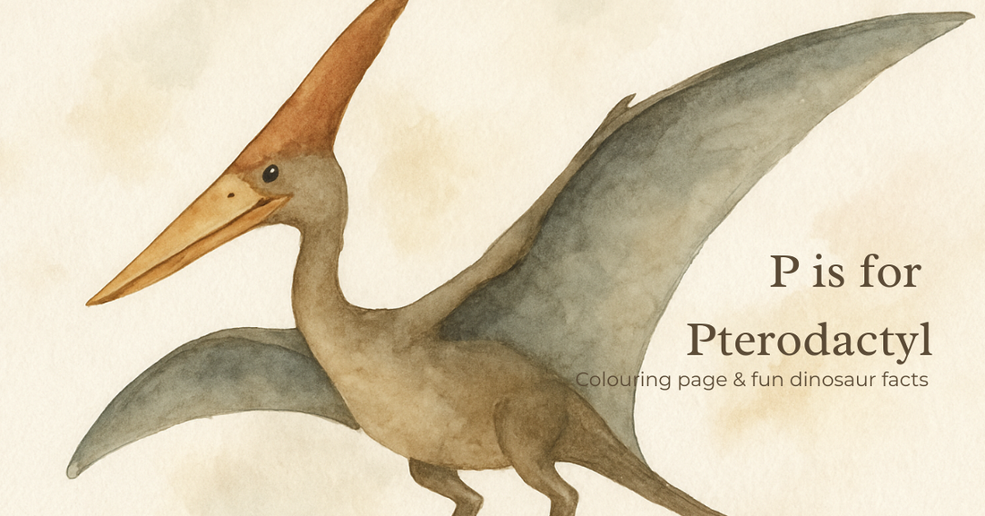 Free Pterodactyl Colouring Page – Dinosaur Printable for Kids