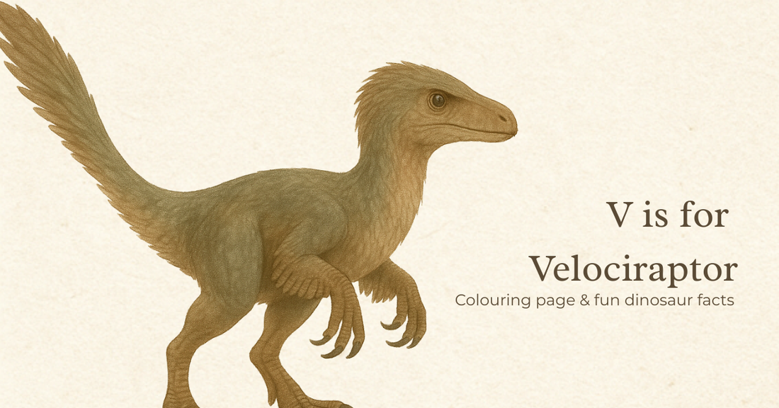 Free Velociraptor Colouring Page – Dinosaur Printable for Kids