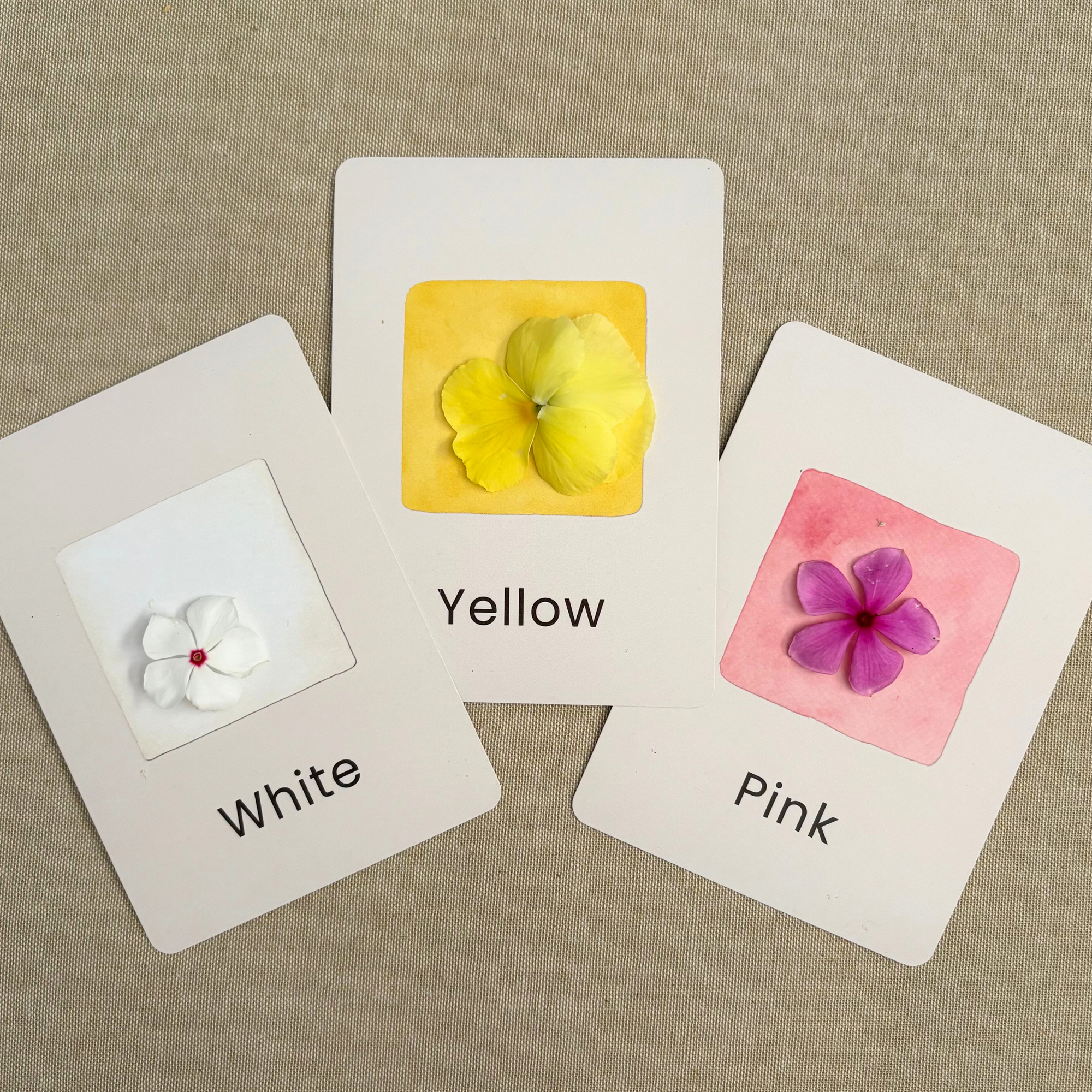 Colour & Shapes Flash Cards Bundle 24 Set - Memory & Go Fish Games