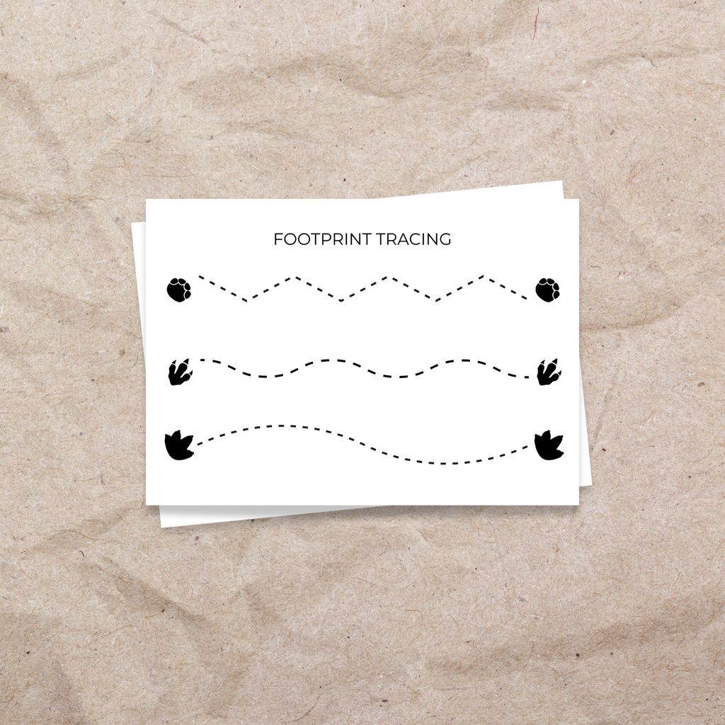 Dinosaur Footprint Tracing Pages - Digital Download