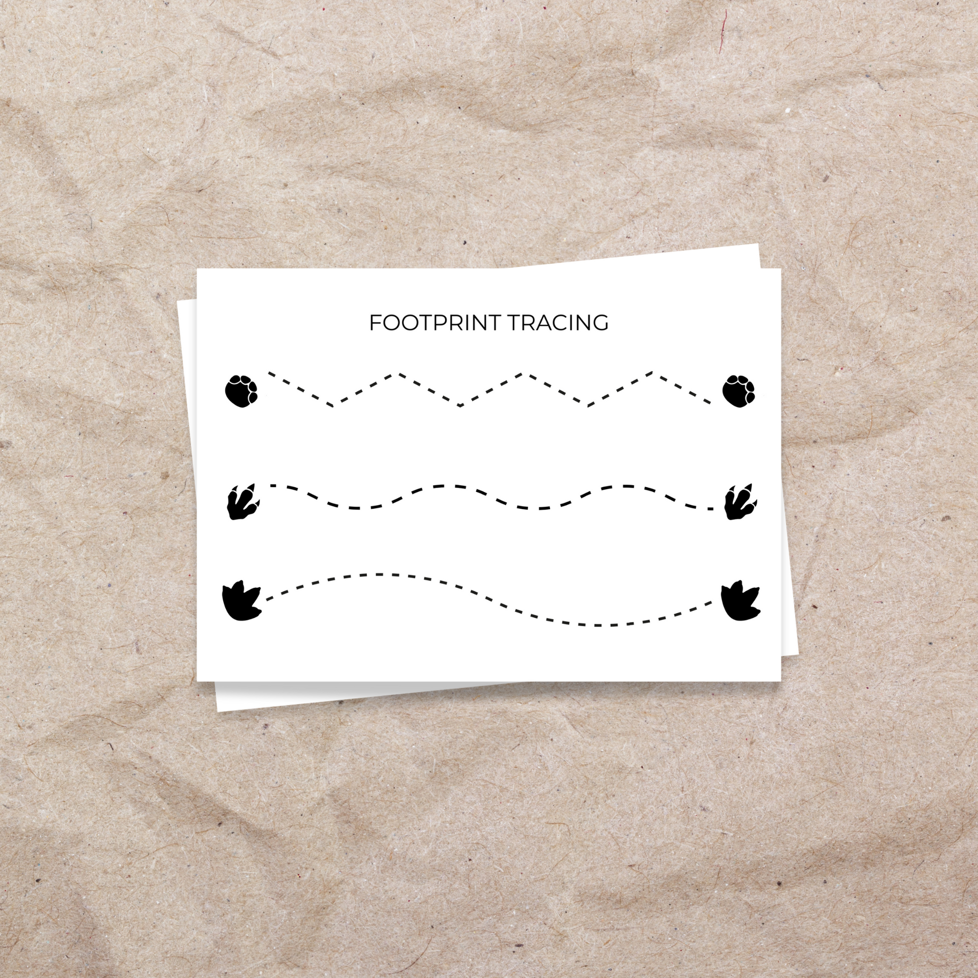 Dinosaur Footprint Tracing Pages - Digital Download