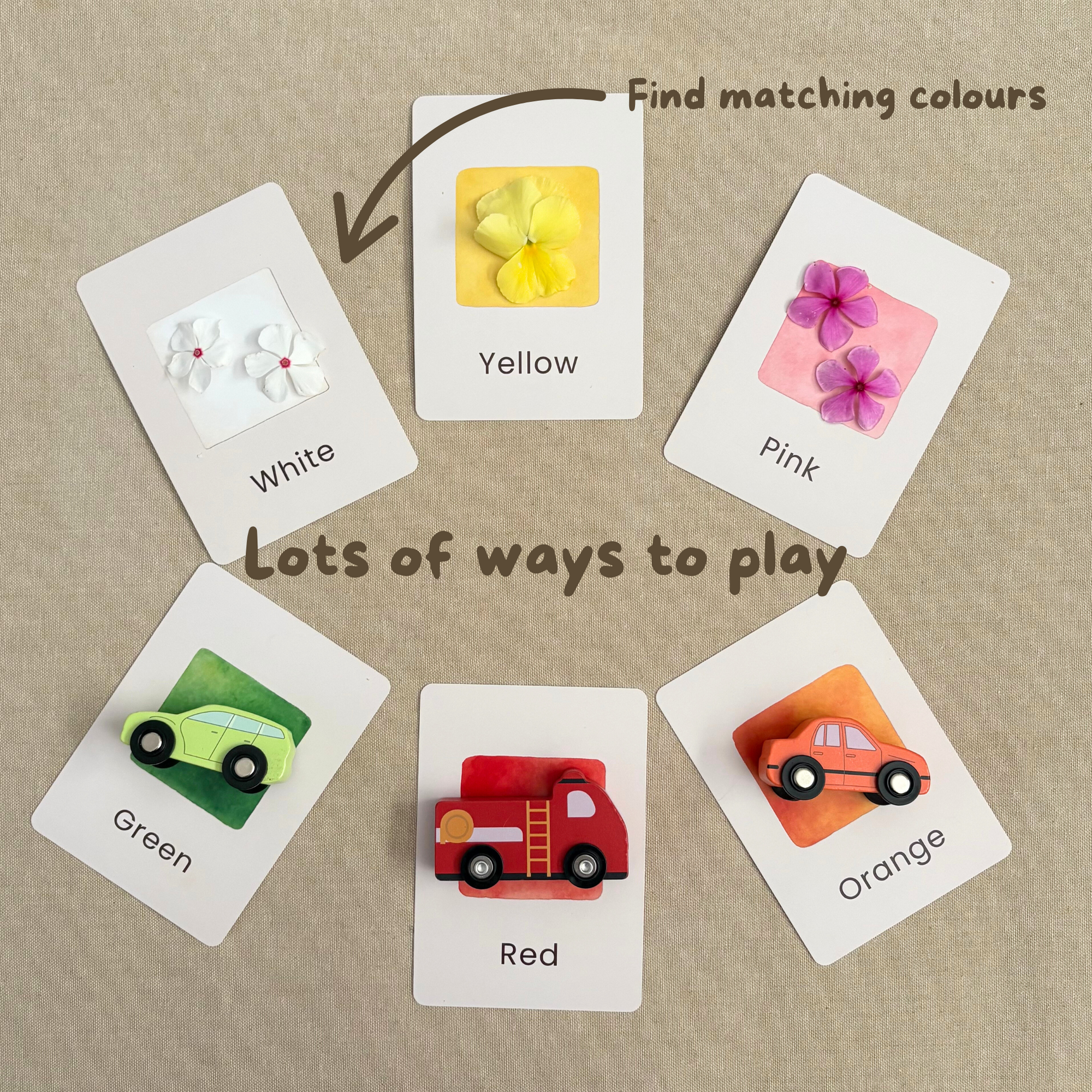 Colour Flash Cards - Set of 12
