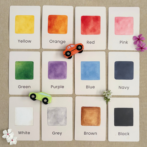 Colour Flash Cards - Set of 12