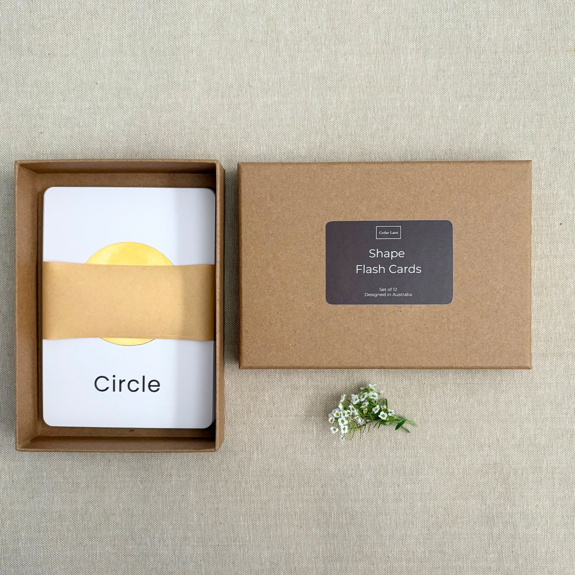 Shapes Flash Cards - Set of 12